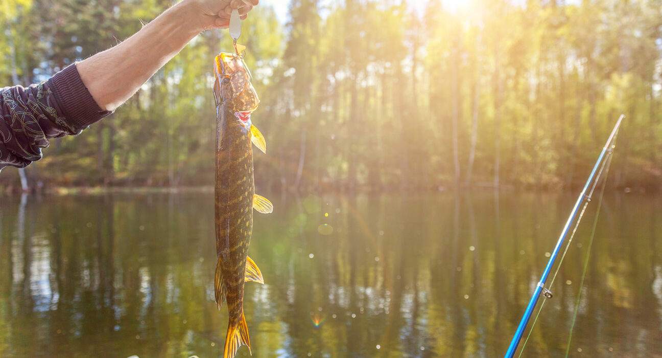 Fishing tackle shop in the UK and all over the world.