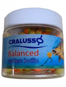 Balanced Wafters mango “7x9mm”
