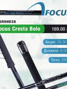 Болонезе Focus CRESTA BOLO 6.0м/ до 30гр